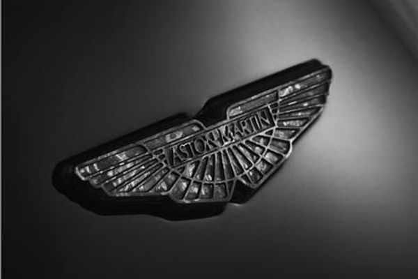 Insigne d'ailes en fibre de carbone